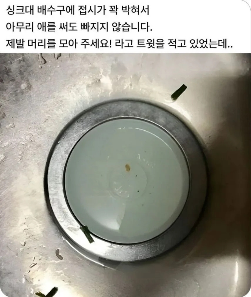 싱크대 배수구에 낀 접시 빼는 방법 | 인스티즈