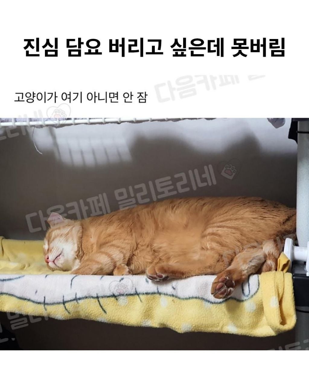 진심 담요 버리고 싶은데 못버림 | 인스티즈