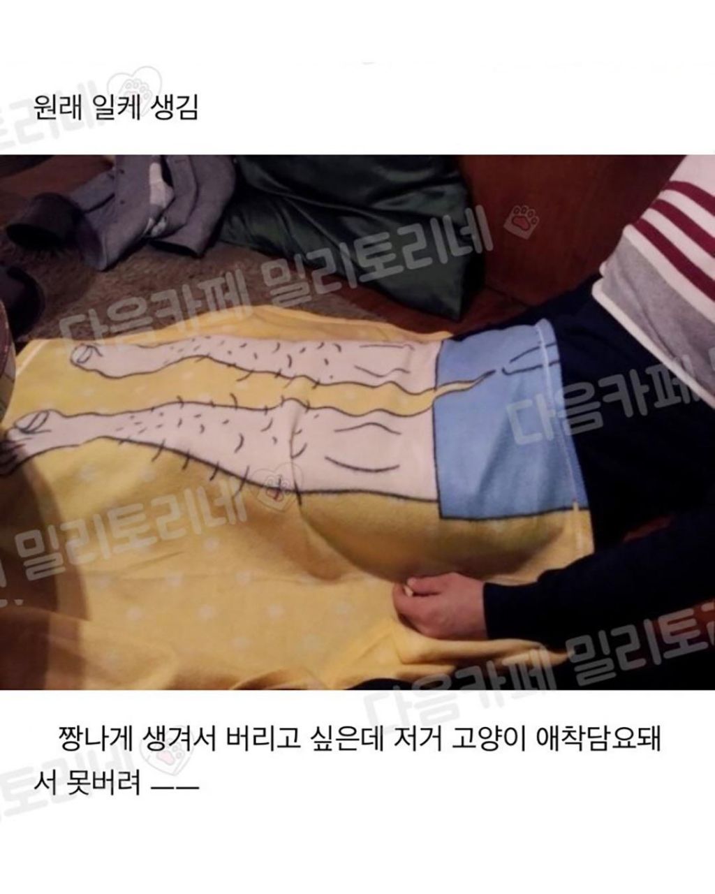 진심 담요 버리고 싶은데 못버림 | 인스티즈