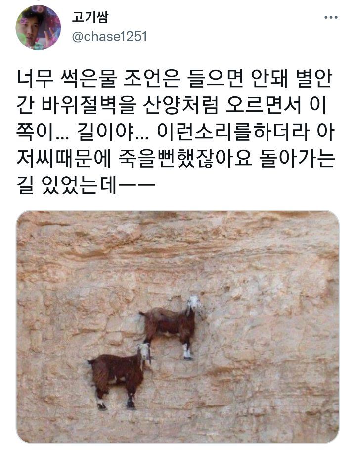 젊은여성끼리 등산 다니니까 참견하고싶어하는 아저씨들한테 별 말 다 듣는데...twt (feat.절대 안 풀리는 신발끈) | 인스티즈