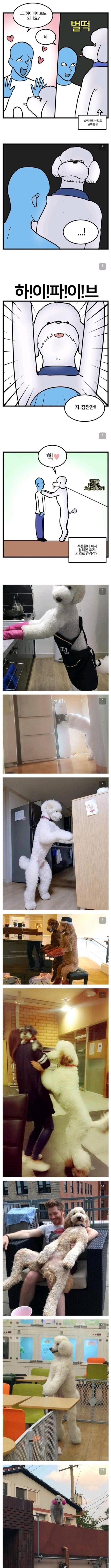 실제로 길에서 마주치면 신기하고 이상하다는 생물 | 인스티즈
