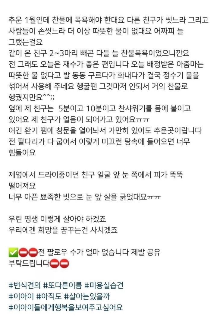개농장 번식견들이 비임신기간에 하는 일 | 인스티즈