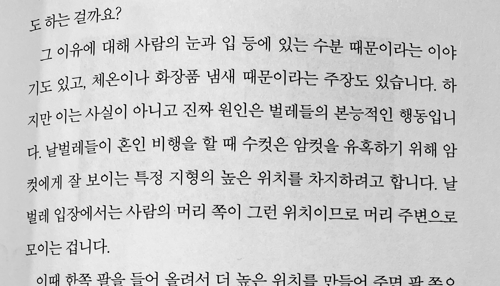 진짜 신박했던거.. 길거리 돌아다닐 때 날벌레 떼가 내 얼굴로 달려드는게 싫으면.. ⭐️ | 인스티즈