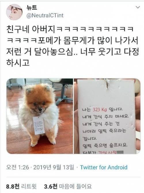 살찐 포메의 최후 | 인스티즈
