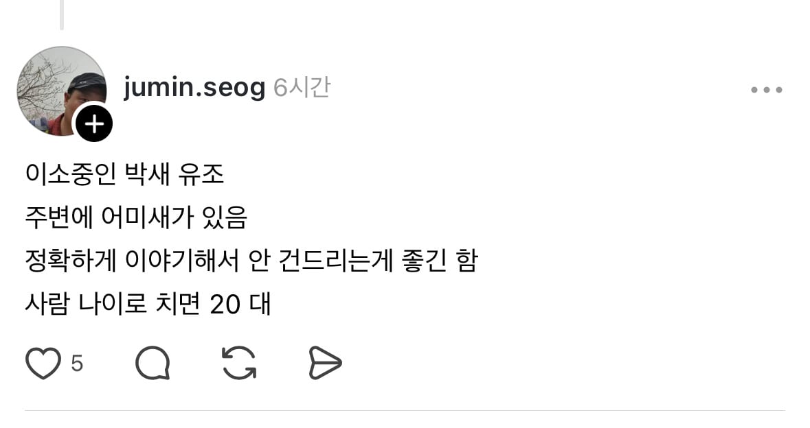 강아지 산책하다가 발견했는데 이럴때 어떻게 해야되나요? ㅠㅜ | 인스티즈