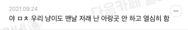 클돌할라고 팬티벗었는데 고양이가 앉았어 .. | 인스티즈