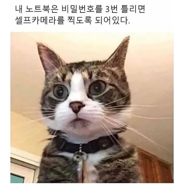 내 노트북은 비번을 3회 틀리면 | 인스티즈