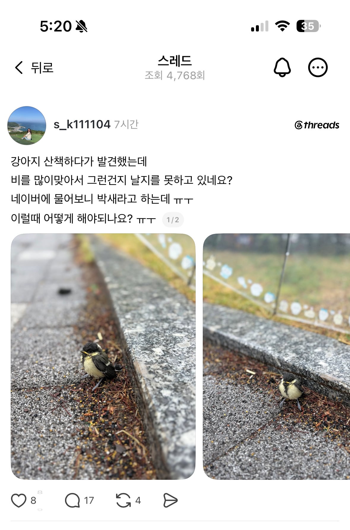 강아지 산책하다가 발견했는데 이럴때 어떻게 해야되나요? ㅠㅜ | 인스티즈