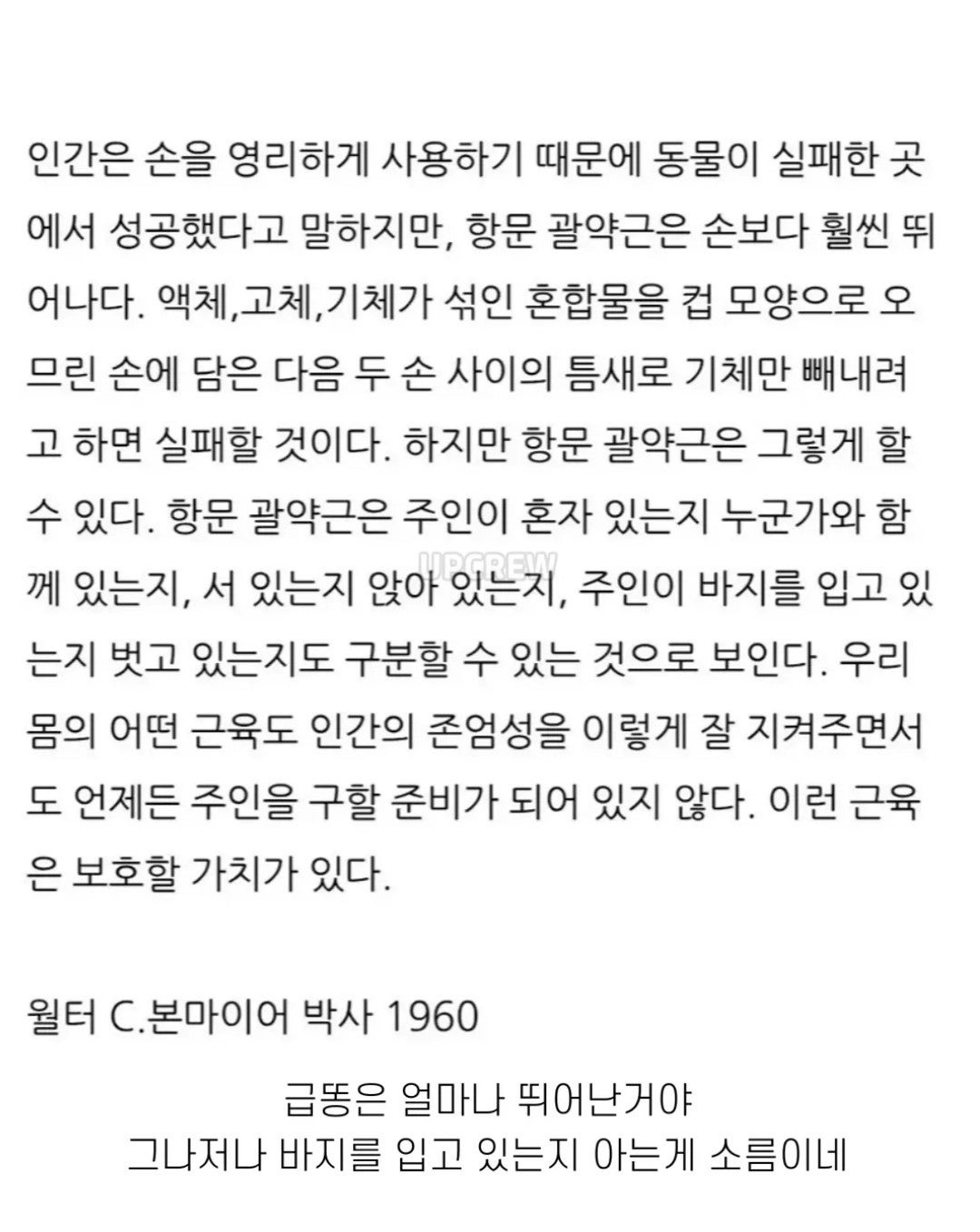 사람의 손보다 더 뛰어난 근육.jpg | 인스티즈