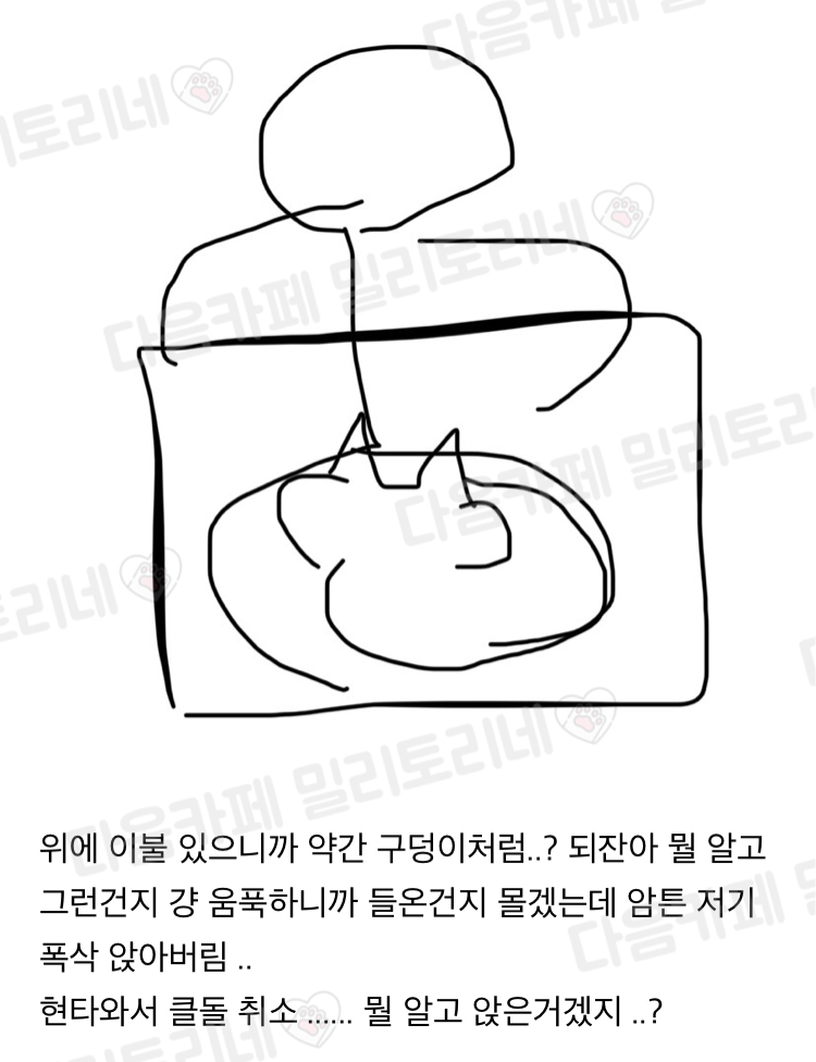 클돌할라고 팬티벗었는데 고양이가 앉았어 .. | 인스티즈