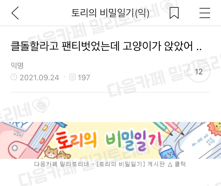 클돌할라고 팬티벗었는데 고양이가 앉았어 .. | 인스티즈