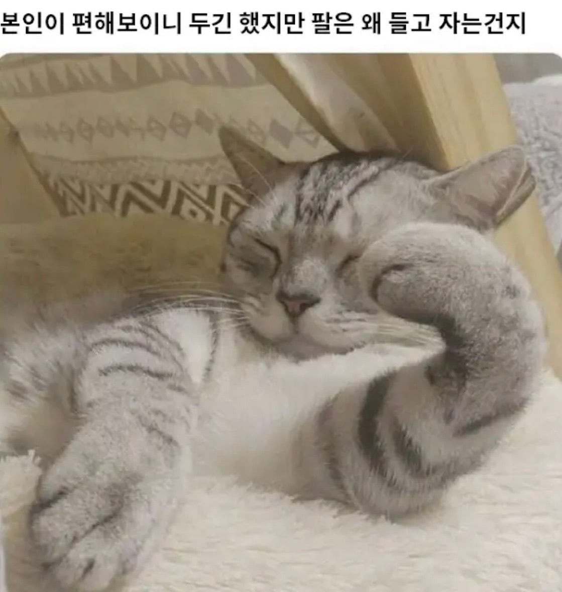 왜 이러고 자는걸까요?.jpg | 인스티즈