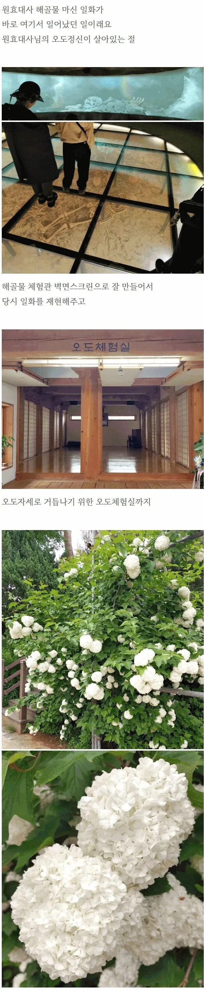 석가탄신일에 절 가서 비빔밥 얻어먹은 사람.jpg | 인스티즈