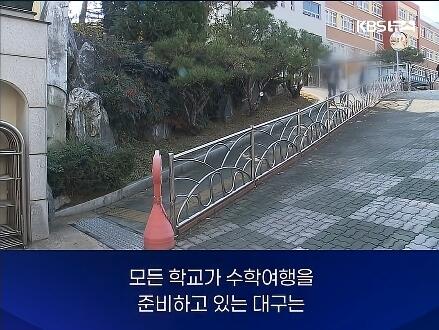 전국 초등학교 수학여행 실시 예정 비율 | 인스티즈