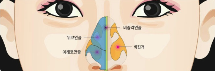 사람들은 잘 모를 수 있는 가장 위험한 성형수술 중 하나 | 인스티즈