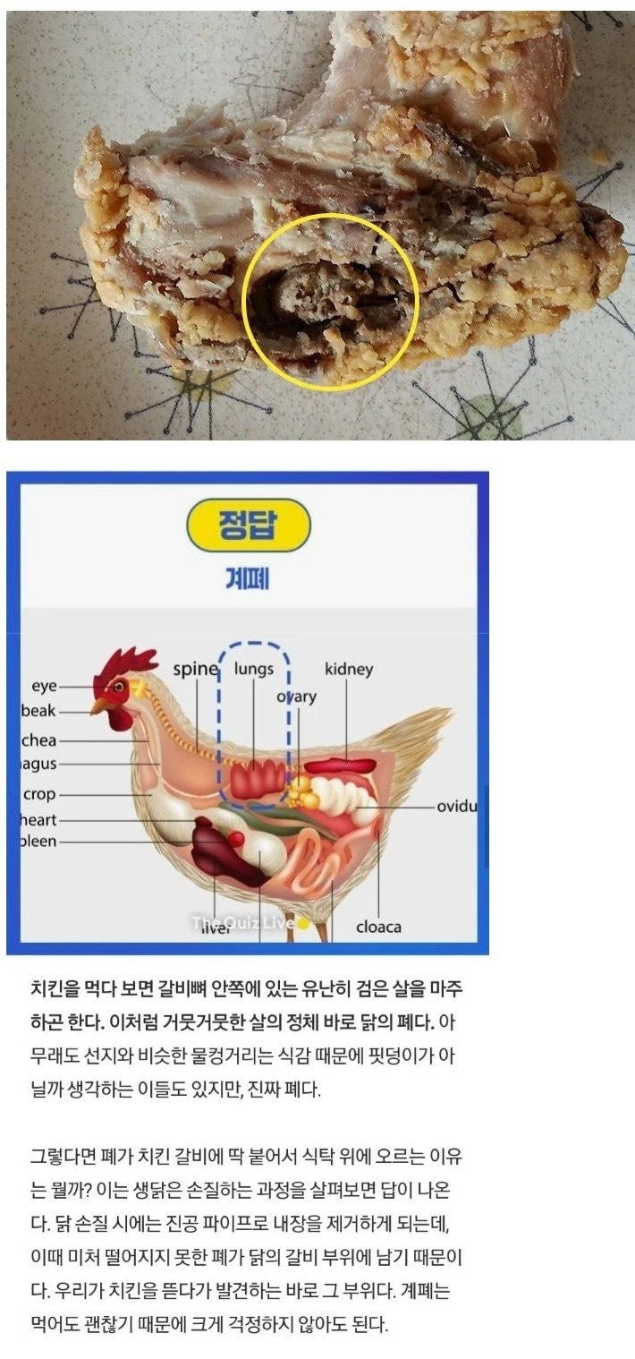 치킨에 있는 검은색 살덩이의 정체.jpg | 인스티즈
