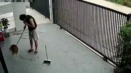 방금까지 있던 빗자루.gif | 인스티즈