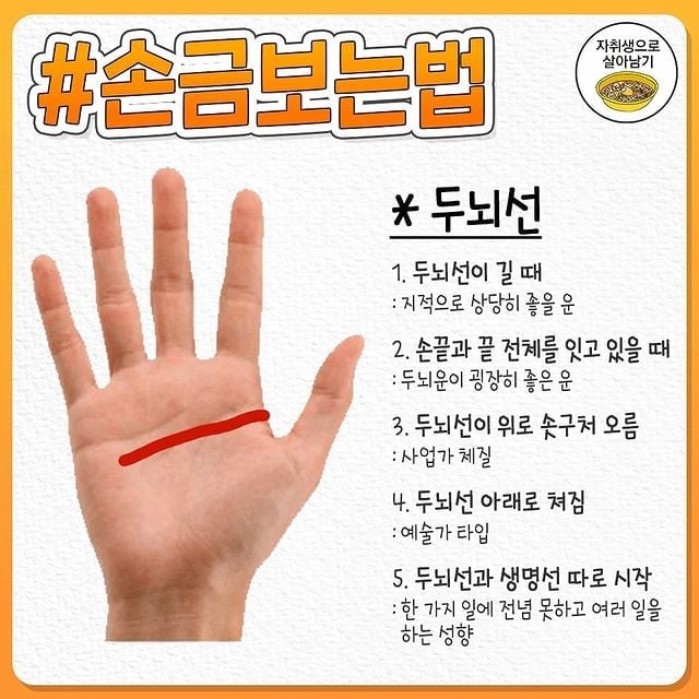 재미로보는 1분컷 손금 보는 방법.jpg | 인스티즈