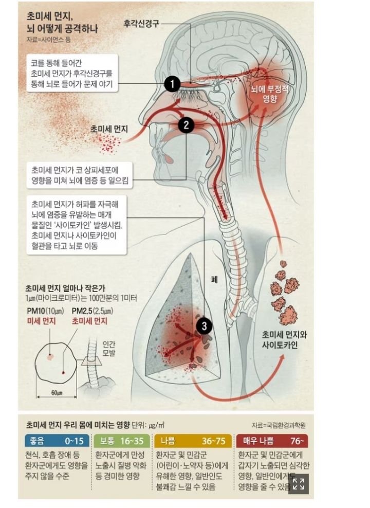 조용히 혈관으로 타고들어가는 미세먼지.j0g | 인스티즈
