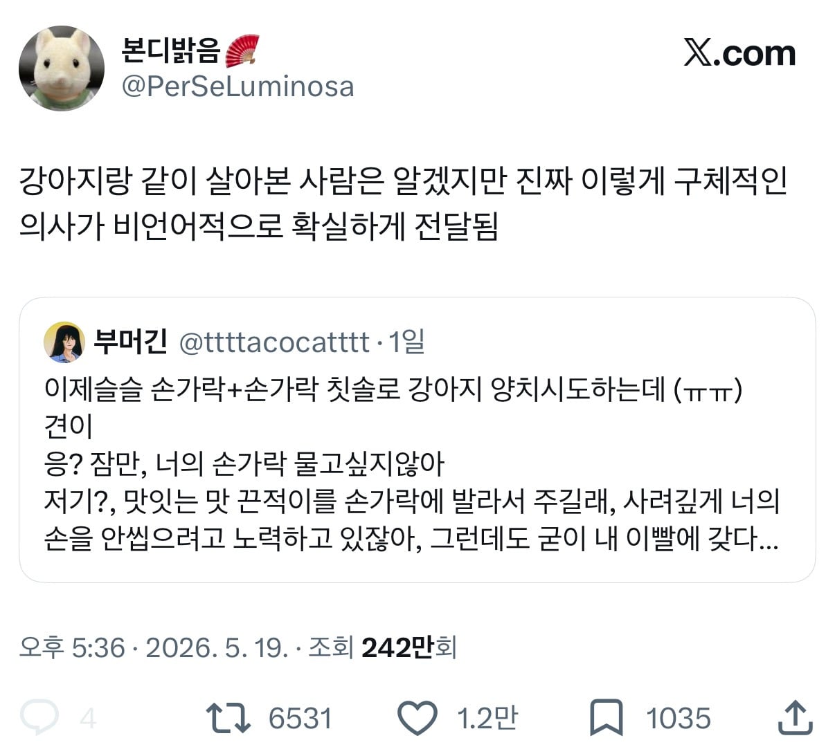 강아지랑 같이 살아본 사람은 알겠지만 진짜 이렇게 구체적인 의사가 비언어적으로 확실하게 전달됨.twt | 인스티즈