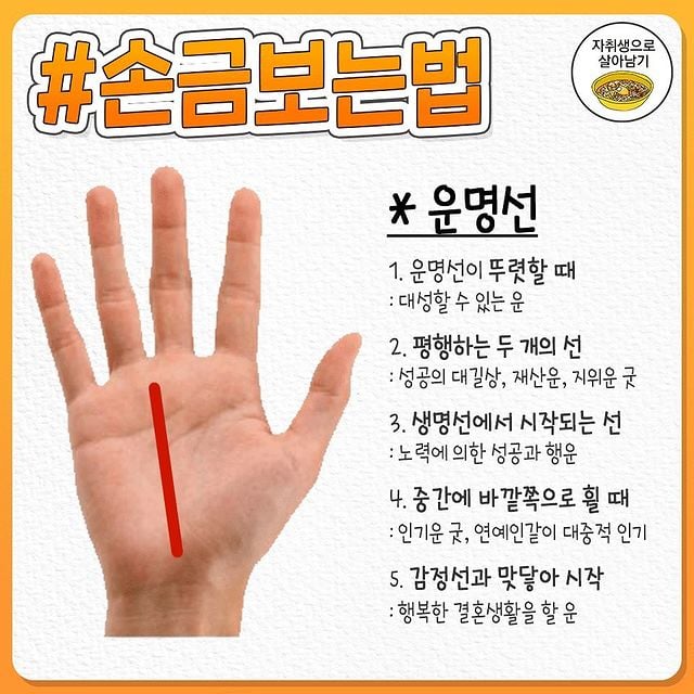 재미로보는 1분컷 손금 보는 방법.jpg | 인스티즈