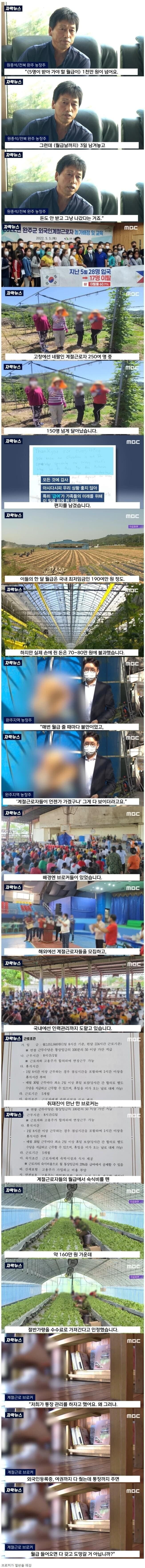 월급이 적다고 도망치는 외노자들 | 인스티즈