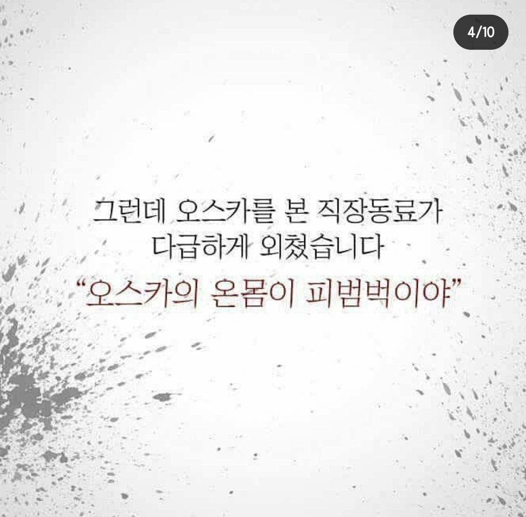 흉기에 찔려 피투성이인 상태로 안내를 계속한 맹인안내견 '오스카' | 인스티즈
