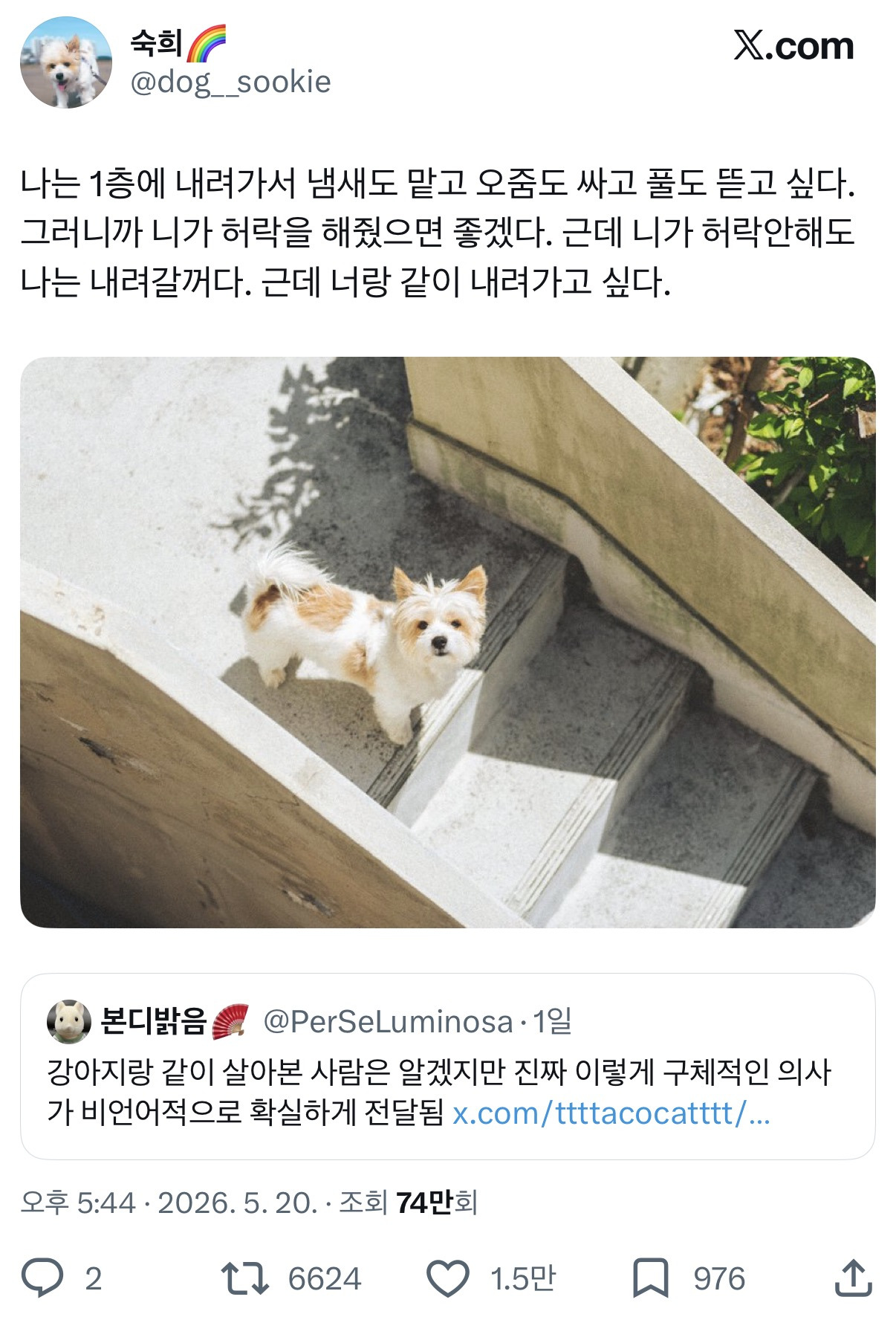 강아지랑 같이 살아본 사람은 알겠지만 진짜 이렇게 구체적인 의사가 비언어적으로 확실하게 전달됨.twt | 인스티즈
