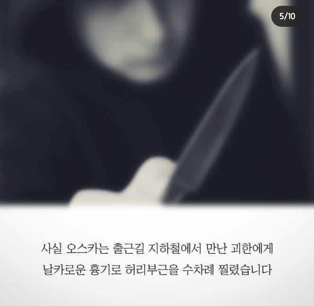 흉기에 찔려 피투성이인 상태로 안내를 계속한 맹인안내견 '오스카' | 인스티즈