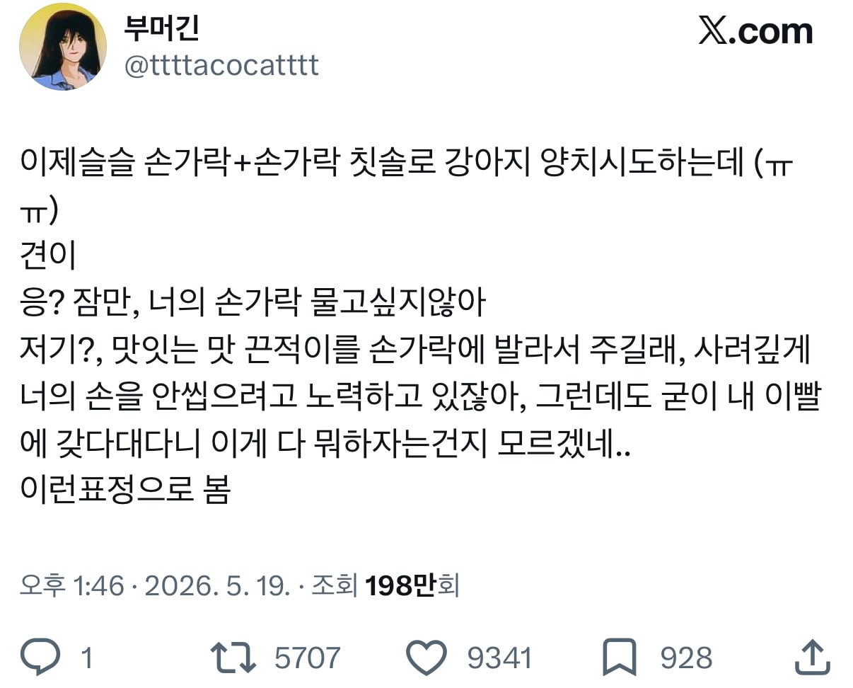 강아지랑 같이 살아본 사람은 알겠지만 진짜 이렇게 구체적인 의사가 비언어적으로 확실하게 전달됨.twt | 인스티즈