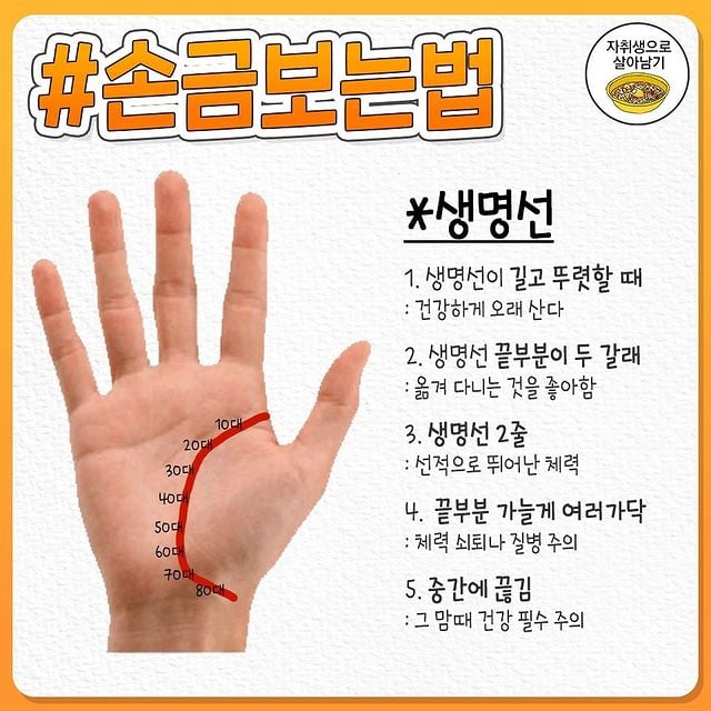 재미로보는 1분컷 손금 보는 방법.jpg | 인스티즈