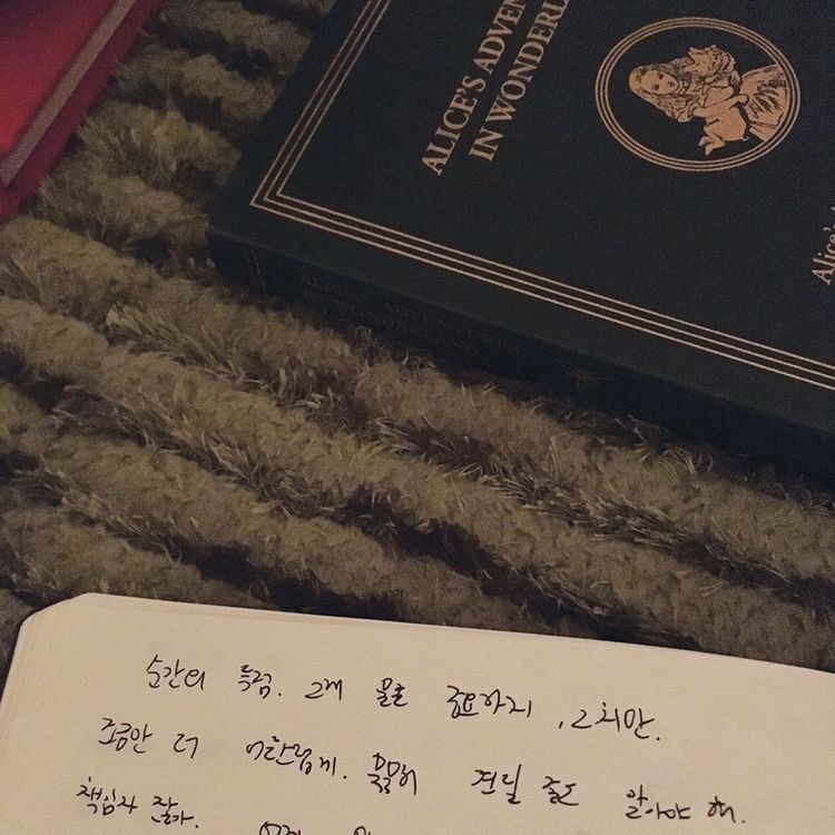 아이유나 알엠처럼 일기 쓰는 사람들 신기하다 | 인스티즈
