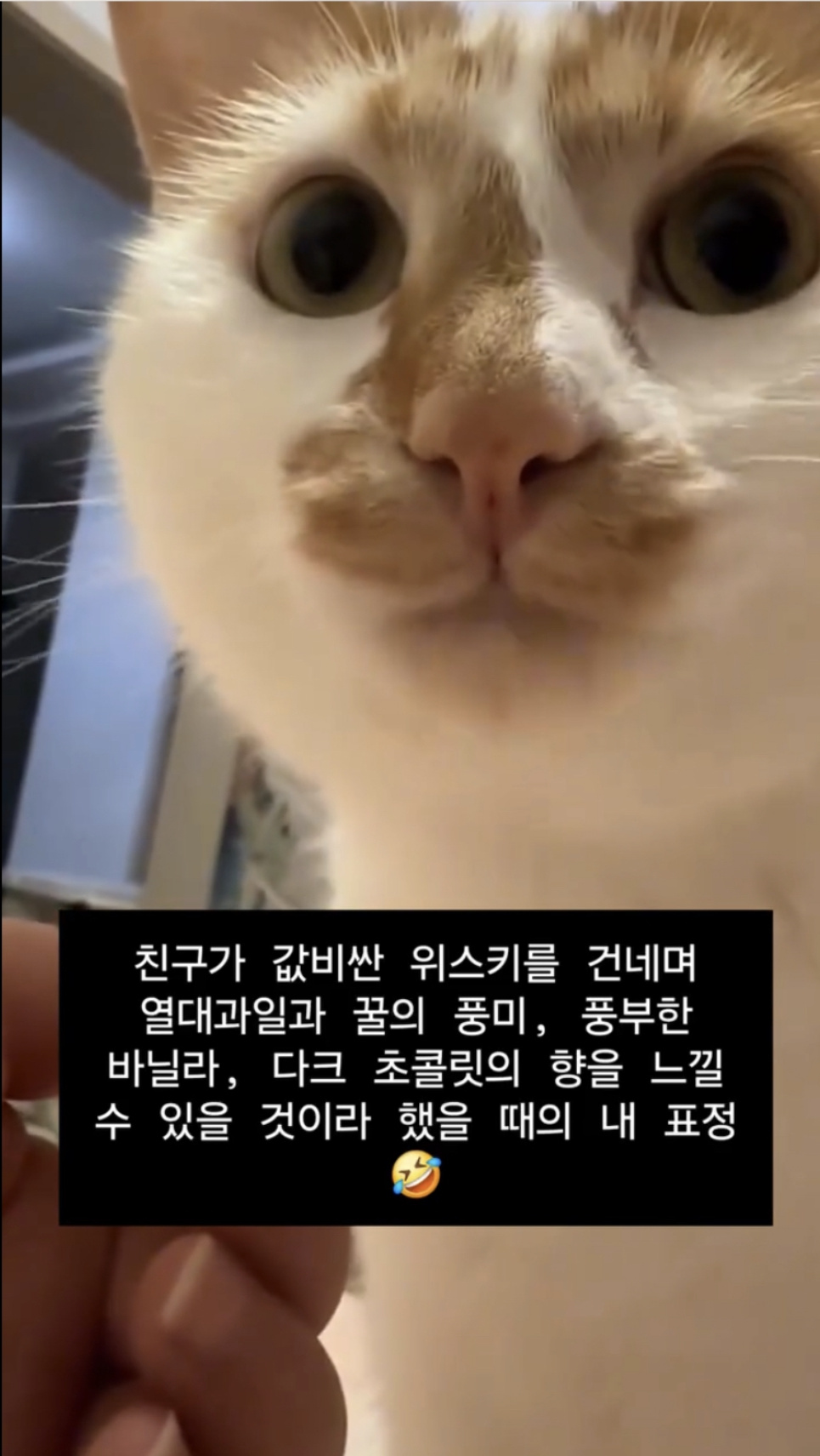 친구가 값비싼 위스키를 건네며 | 인스티즈