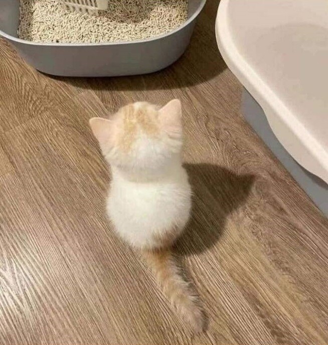 조랭이 떡 | 인스티즈