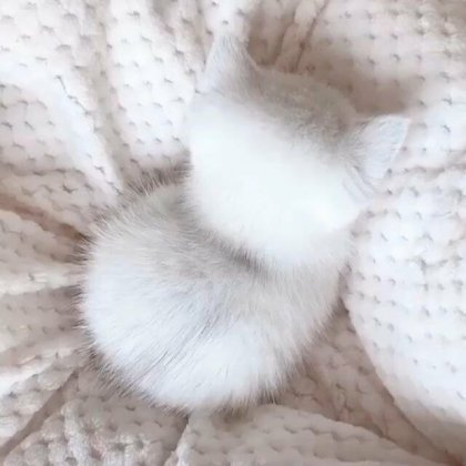 조랭이 떡 | 인스티즈