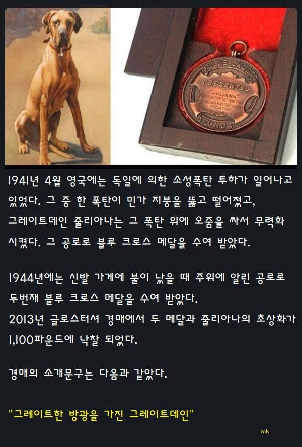 어떤 훌륭한 강아지의 훈장 | 인스티즈