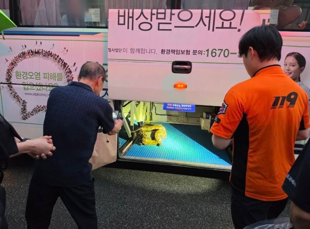 3일전 서대구 터미널 뒤집어짐; | 인스티즈