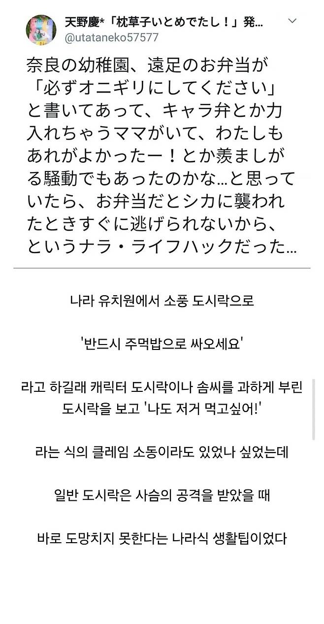일본 유치원에서 소풍 도시락을 주먹밥으로 통일시킨 이유 | 인스티즈