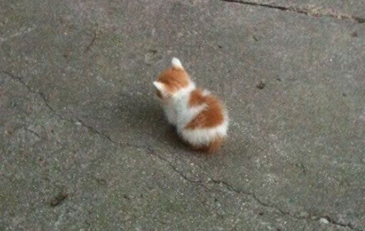 조랭이 떡 | 인스티즈