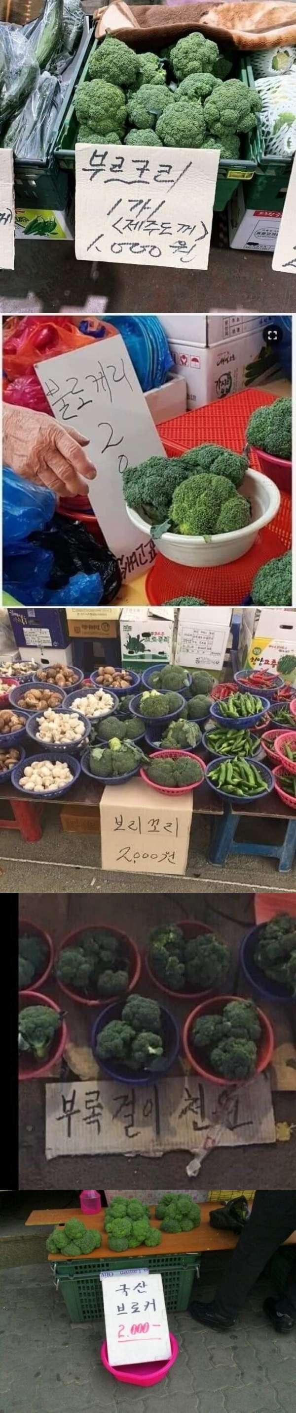 한글로 쓰기 어려운 채소 | 인스티즈
