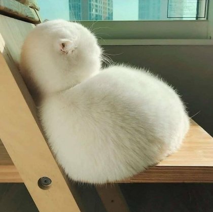 조랭이 떡 | 인스티즈