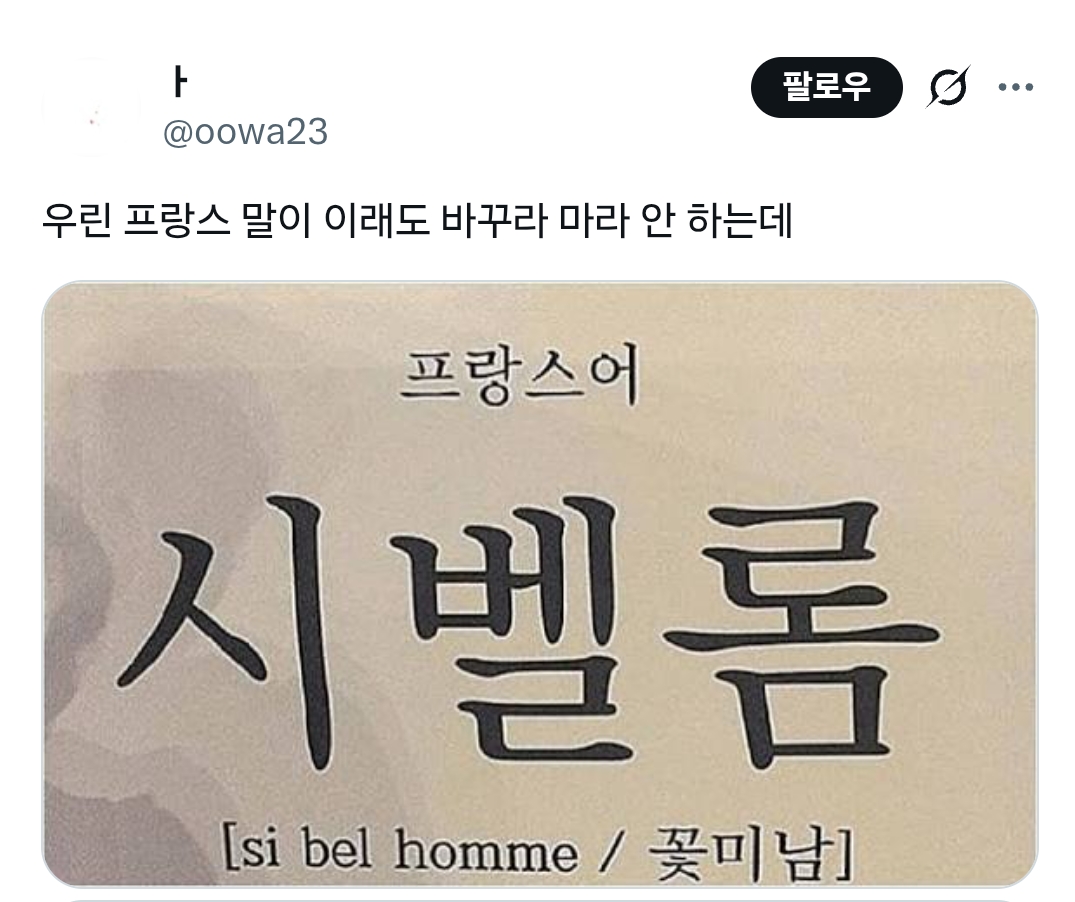 또 한국인들 '니가' 쓰는거로 뭐라하는 | 인스티즈