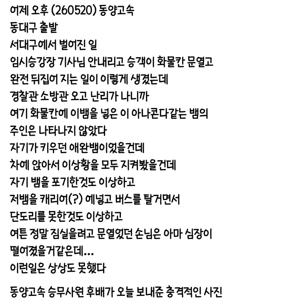 3일전 서대구 터미널 뒤집어짐; | 인스티즈