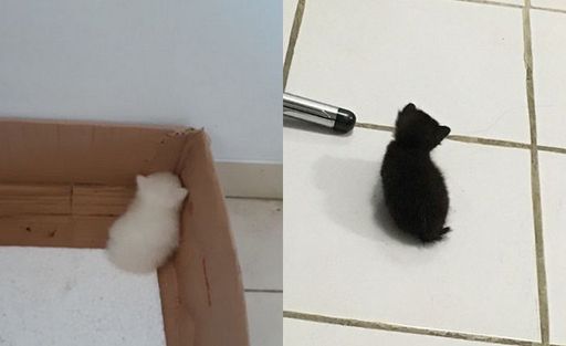 조랭이 떡 | 인스티즈