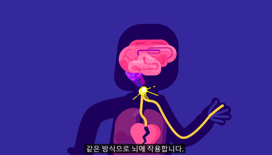생각이 생각을 부르는 이유 | 인스티즈