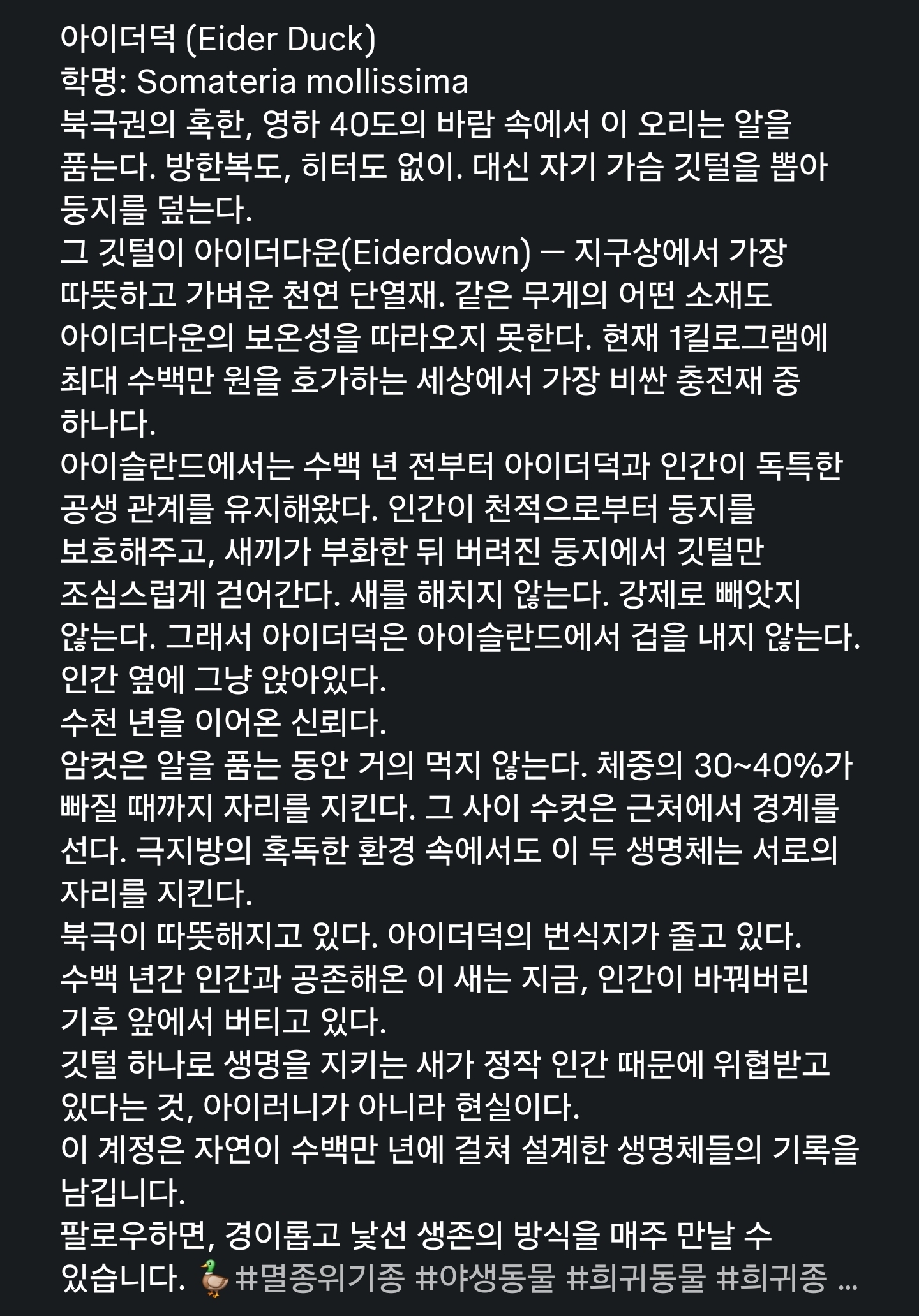 아이더덕의 독특한 울음소리 | 인스티즈