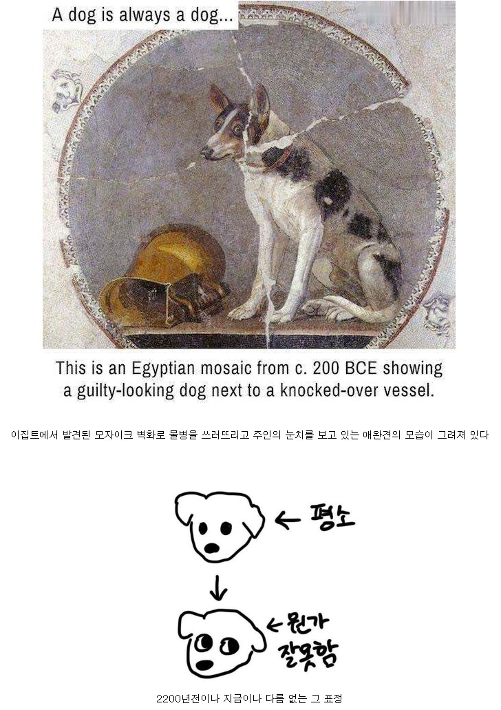 2200년동안 변함 없는 그 표정 | 인스티즈