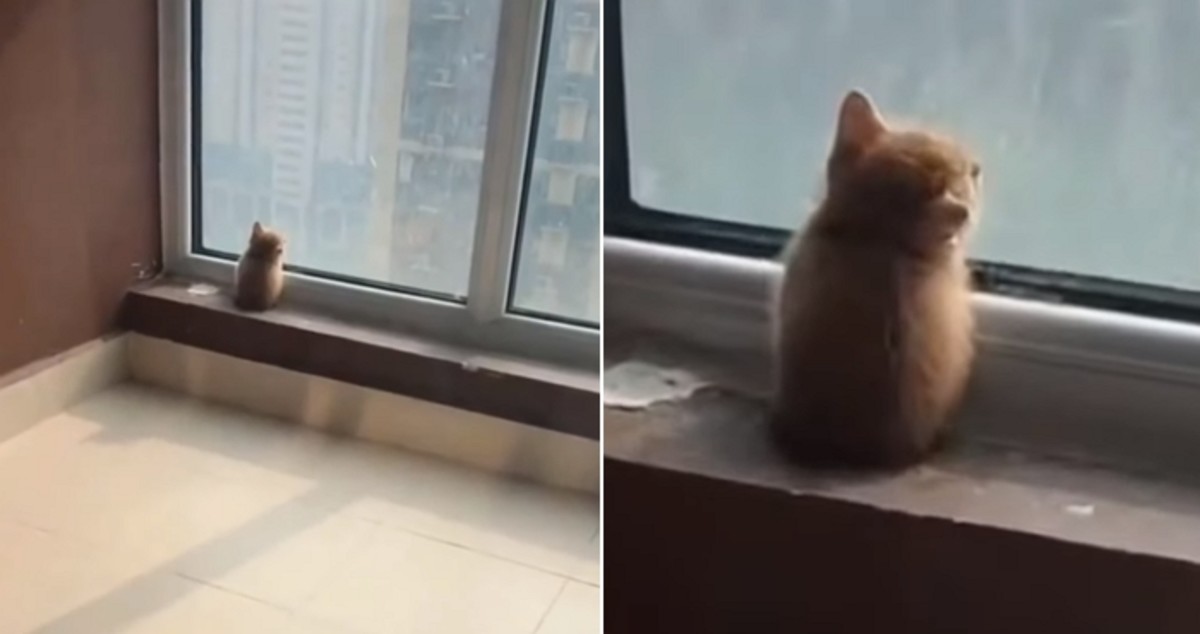 조랭이 떡 | 인스티즈