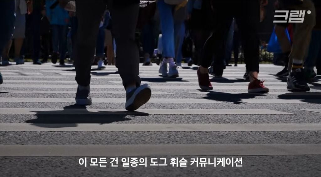 스타벅스 탱크데이에 숨겨진 암호 | 인스티즈