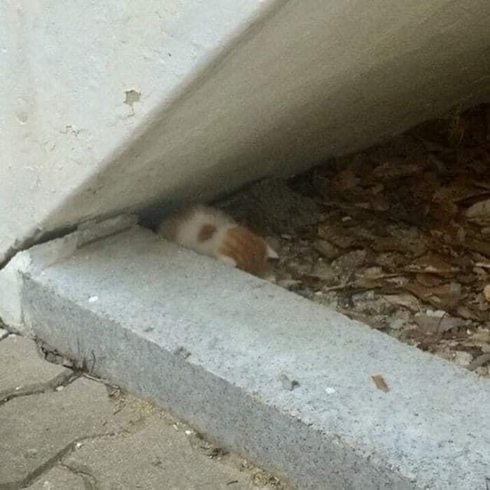 조랭이 떡 | 인스티즈